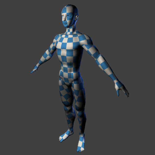 3D human model