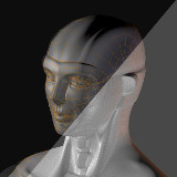 Lowpoly retopo and Hipoly оf face 3d model