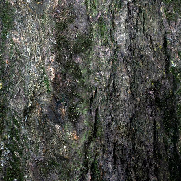 Texture - Old bark # 1